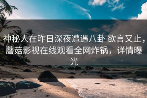 神秘人在昨日深夜遭遇八卦 欲言又止，蘑菇影视在线观看全网炸锅，详情曝光