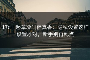 17c一起草冷门但真香：隐私设置这样设置才对，新手别再乱点