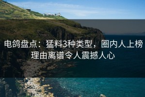电鸽盘点：猛料3种类型，圈内人上榜理由离谱令人震撼人心