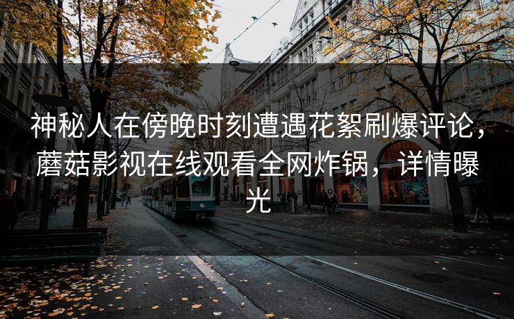 神秘人在傍晚时刻遭遇花絮刷爆评论，蘑菇影视在线观看全网炸锅，详情曝光
